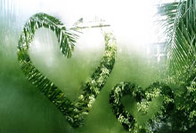 雷火电竞赛事-关于球队迎来关键比赛，备战全面展开的信息