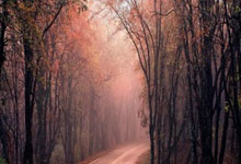 雷火电竞官方网站-英国乒乓球队轻取法国乒乓球队，许昕关键制胜引爆全场热潮