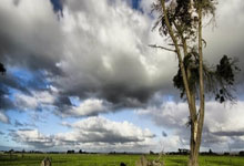 雷火电竞赛事实时比分-巴西男篮横扫澳大利亚男篮，莫里斯制霸全场——热血激情的篮球盛宴