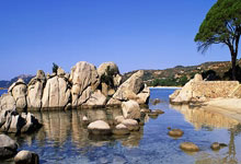 雷火电竞-瑞典乒乓球队绝杀法国乒乓队，张继科绝境逆转耀丽全场